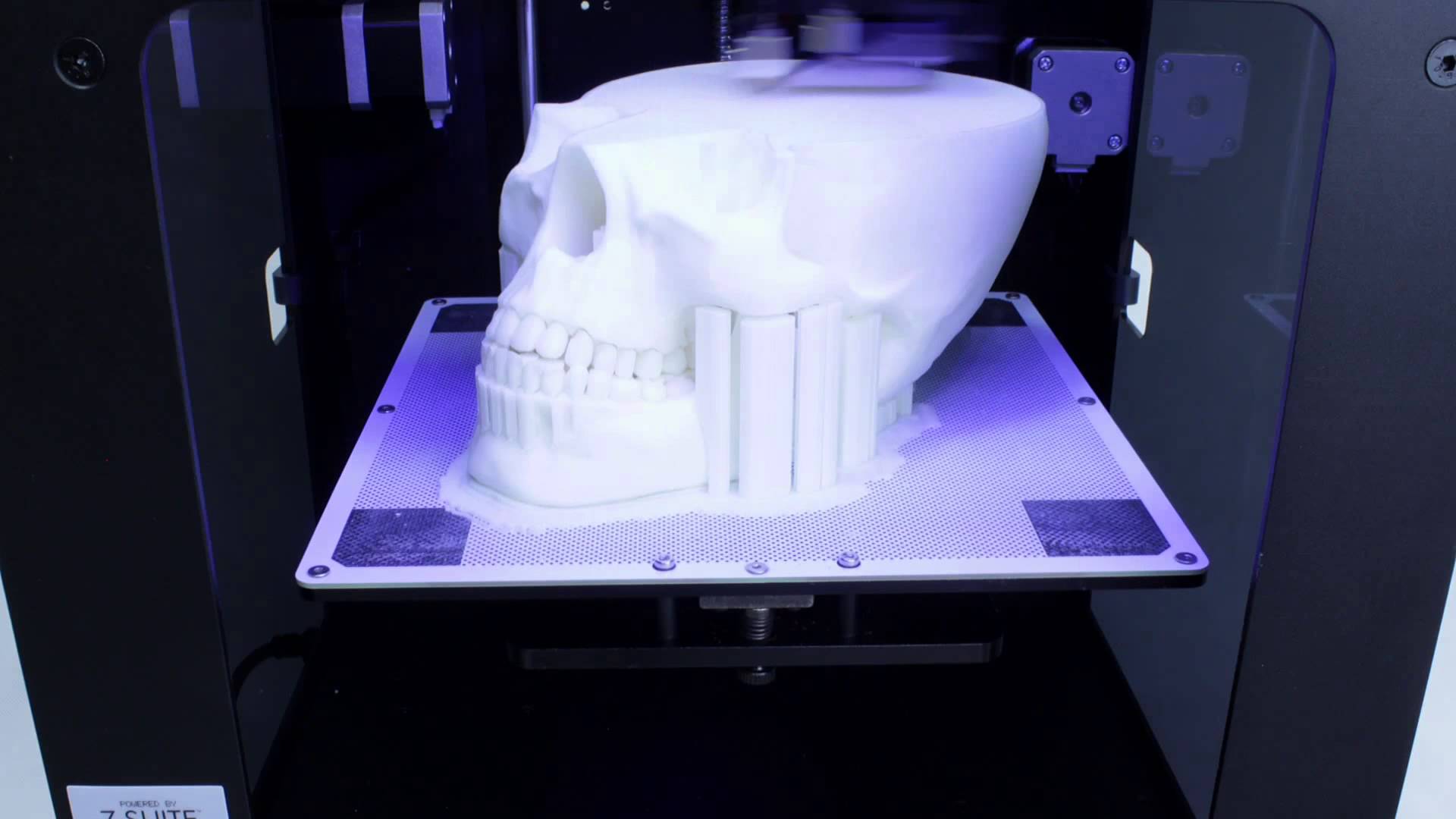 3D Printed Human Skull | Zortrax